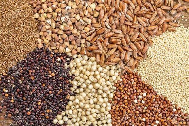 نهاده دامی چیست؟