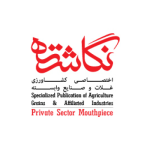 ایکن-ها