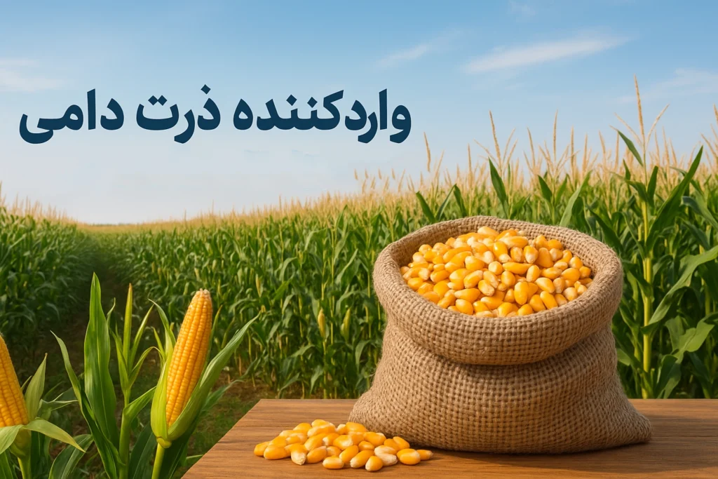 ذرت دامی چیست