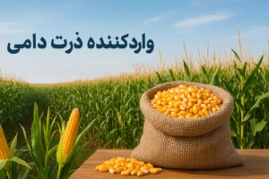 ذرت دامی چیست