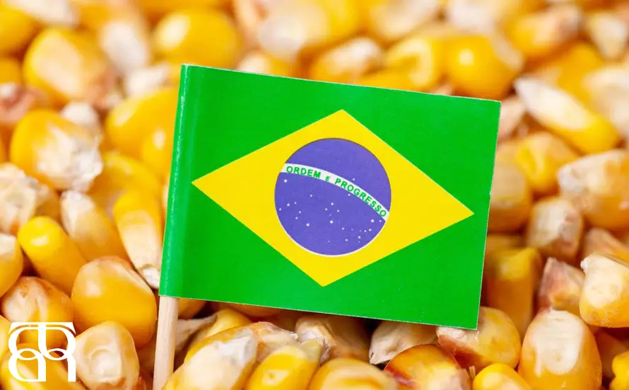 اهمیت غلات در اقتصاد برزیل