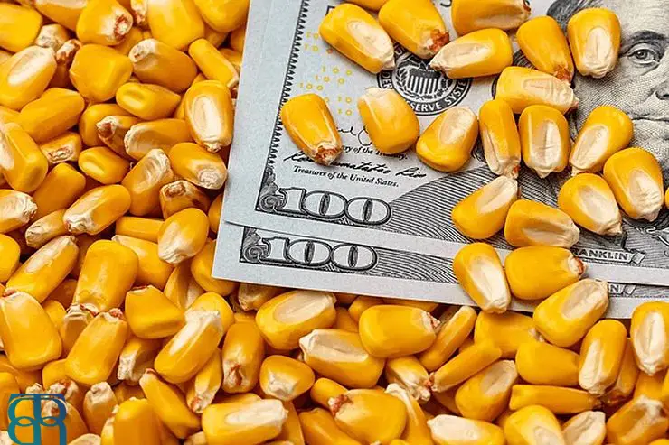 تأثیر جنگ اوکراین بر بازار جهانی ذرت
