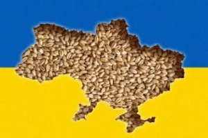 تأثیر جنگ اوکراین بر بازار جهانی ذرت