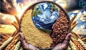 نحوه حل اختلاف در قراردادهای بین‌المللی غلات