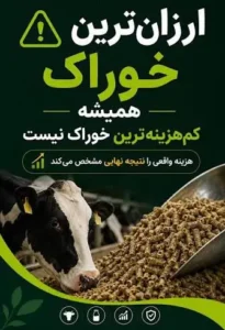 هزینه‌های پنهان خوراک ارزان دام