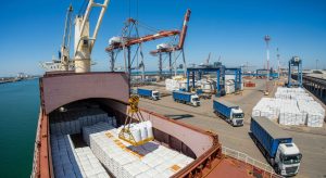 واردات خوراک دام