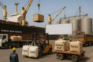 وارد کننده نهاده دامی- رستاک خلیج فارس