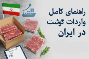 راهنمای کامل واردات گوشت منجمد در ایران
