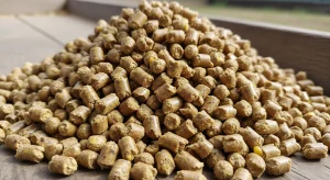 ترکیبات اصلی خوراک کنسانتره‌ای