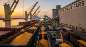 خرید غلات و حبوبات وارداتی از بهین تجارت رستاک