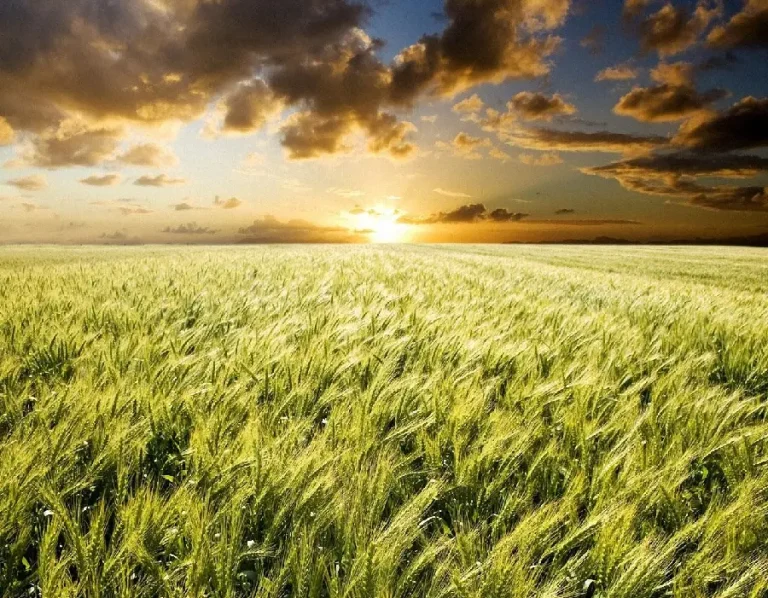 large_42849713-aecf-4746-b83f-4f68d30a2b69