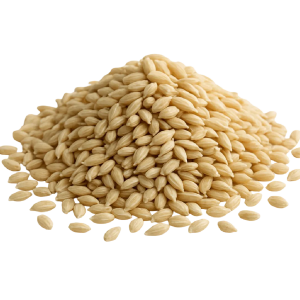 واردات گندم