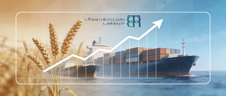 توسعه بازار صادرات مجدد نهاده‌های دامی